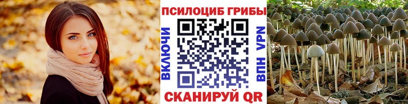Псилоцибиновые грибы MAGIC MUSHROOMS  МЕГА tor  Пыть-Ях 