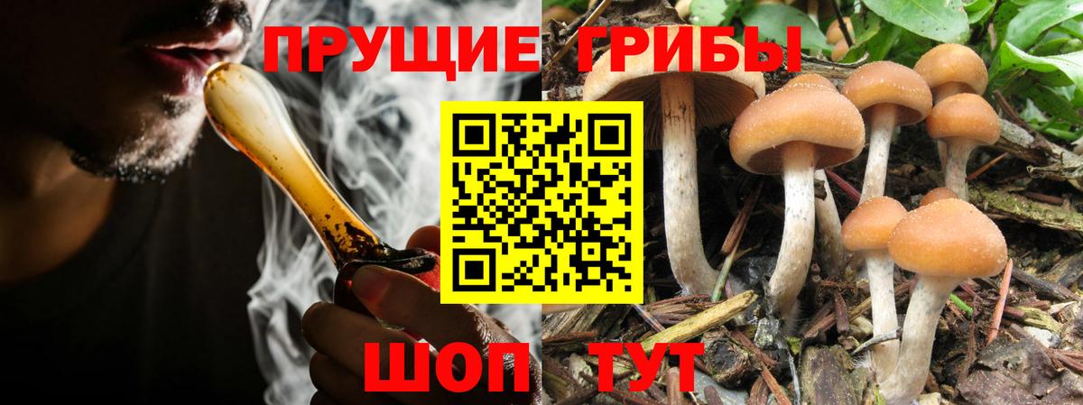 Галлюциногенные грибы мухоморы  Псилоцибиновые грибы прущие грибы  Вход с VPN  Пыть-Ях 