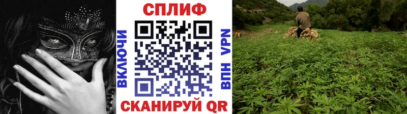 наркошоп Пыть-Ях Шишки марихуана тримм